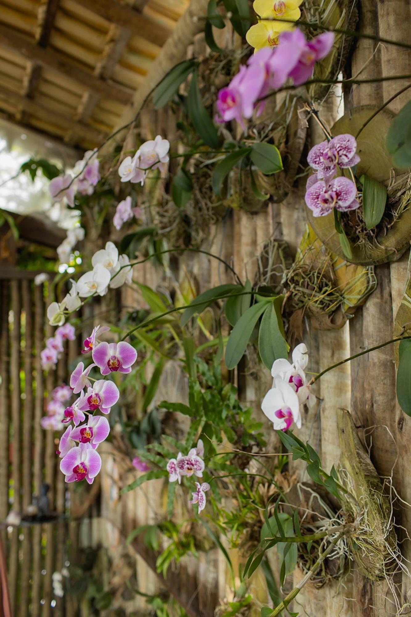 Orquidea Cafe Hotel Guarapari Eksteriør billede