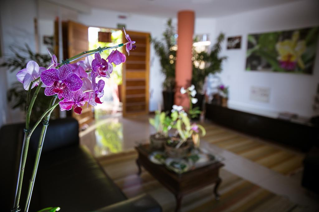 Orquidea Cafe Hotel Guarapari Eksteriør billede